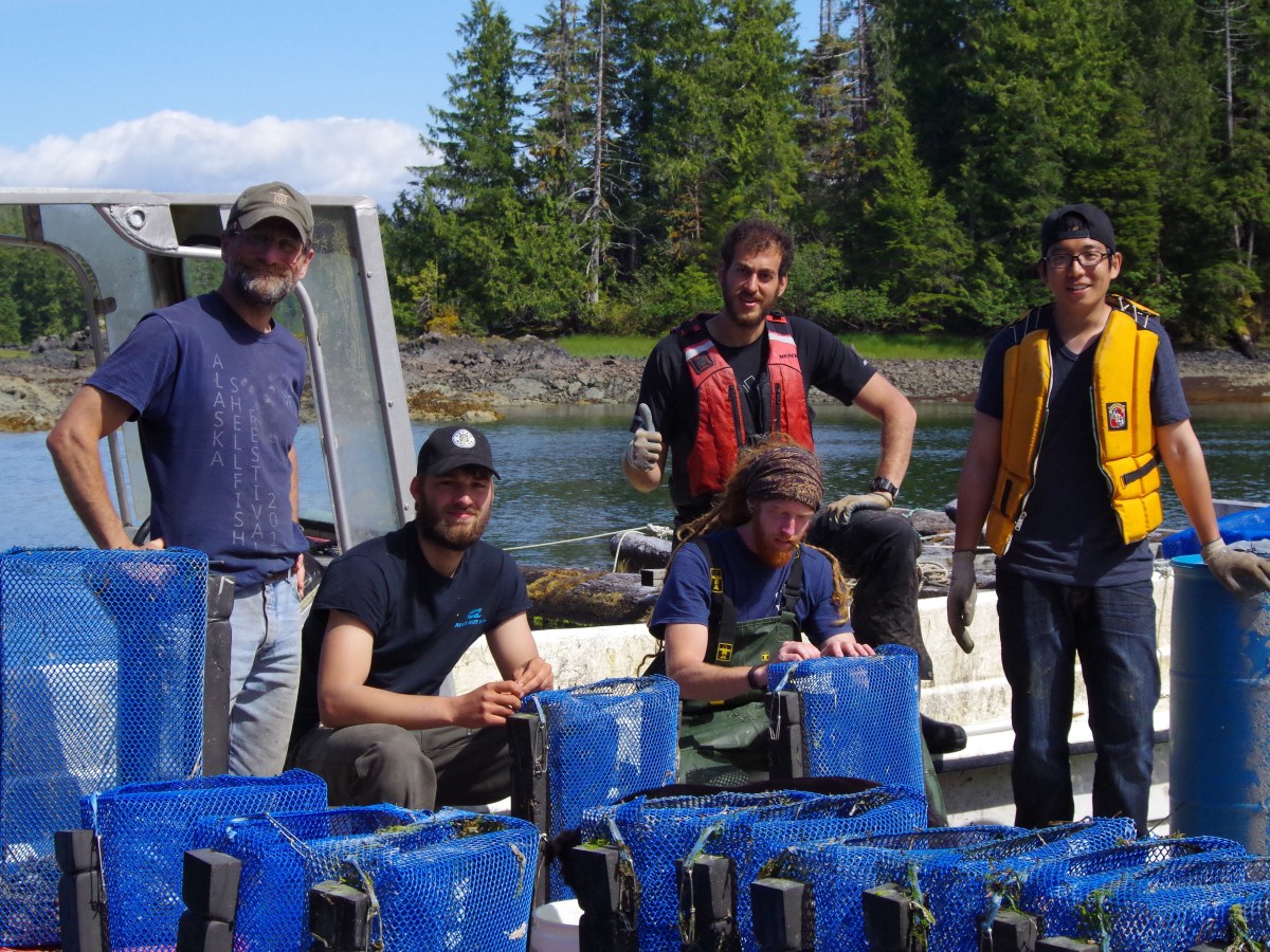 Flashback to the Cabin&nbsp;Boys